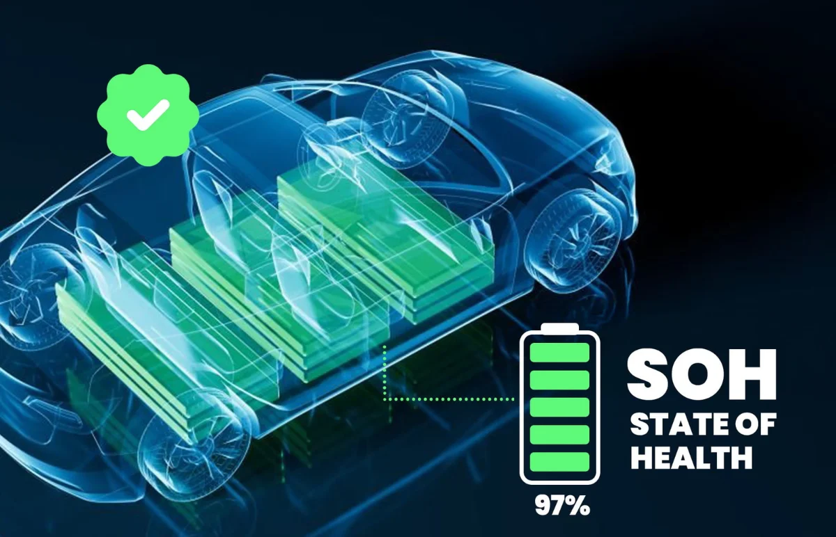 EV State of Health Check